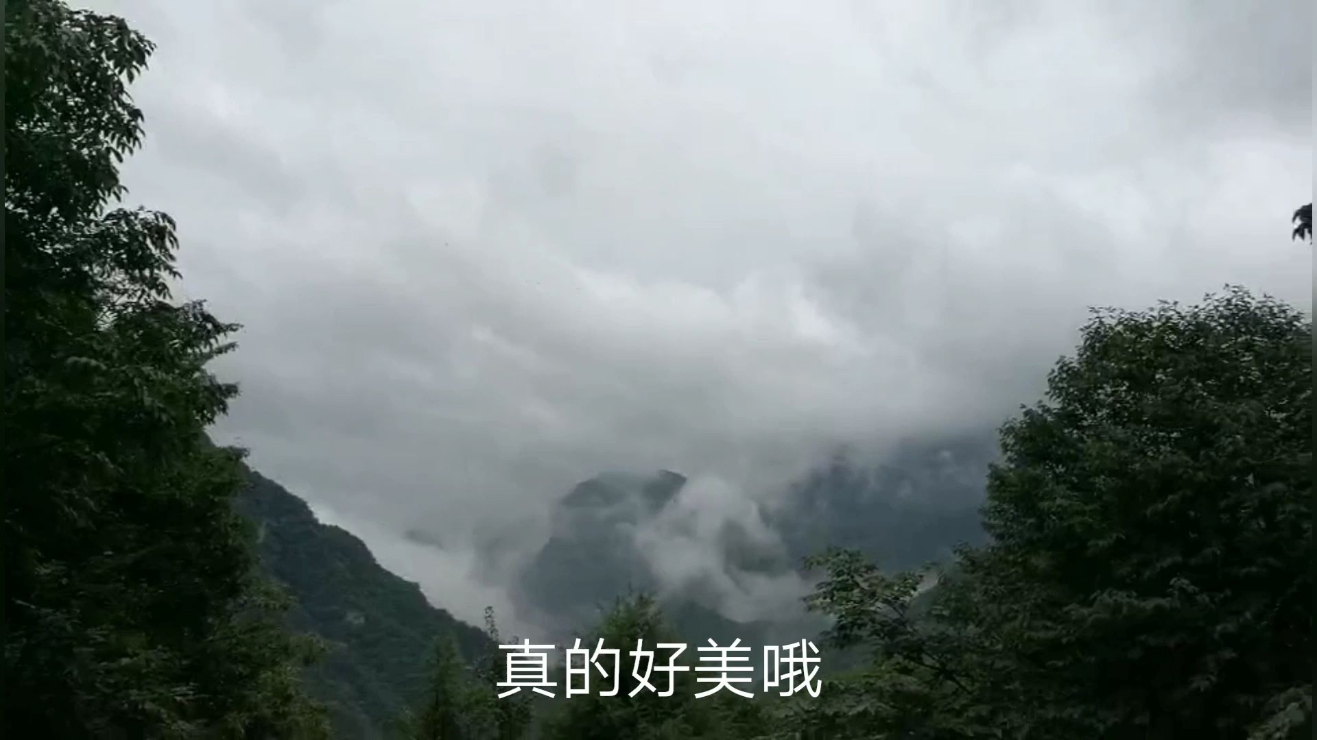 不知道去哪里玩,那就来修仙吧|云中仙山武当山之行
